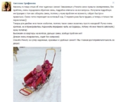 Светлана Трифонова (https://vk.com/id187939) г. Москва 17 января 2016 г.